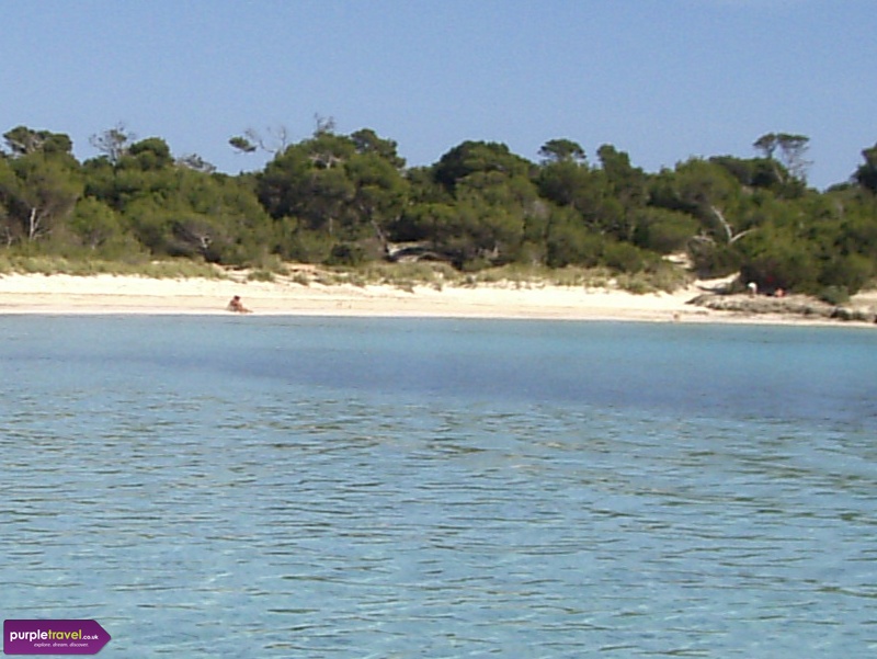 Son Saura