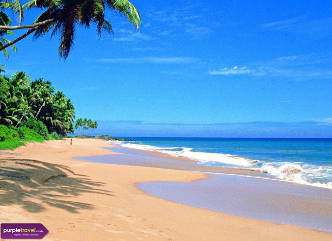 colombo chatrooms The best place to chat about sri-lanka with text and video with webcam (turn on your webcam and let's sri-lanka chat invite your friends. colombo chatrooms The best place to chat about sri-lanka with text and video with webcam (turn on your webcam and let's sri-lanka chat invite your friends.