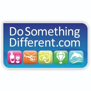 Do Something Different logo