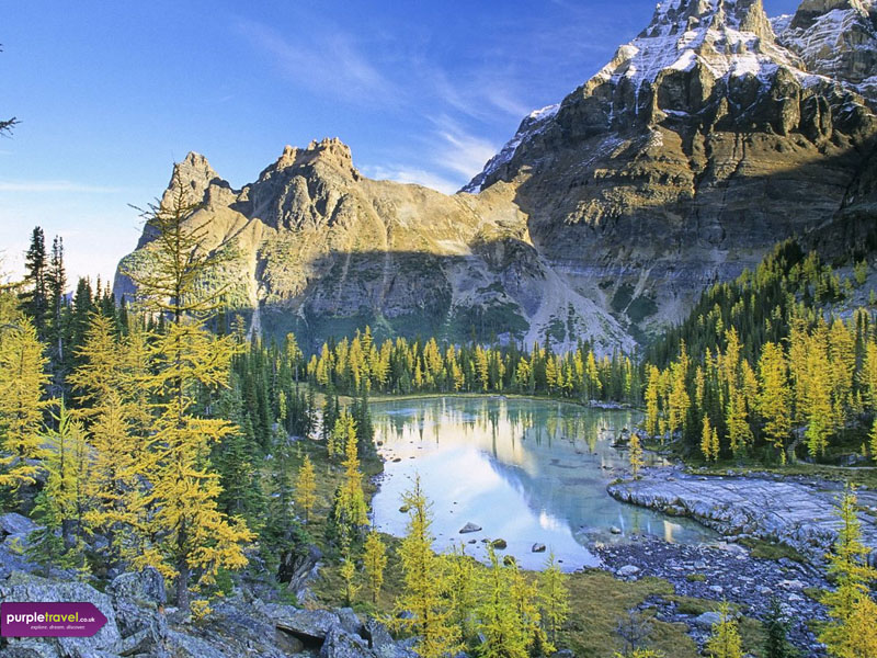 british Columbia cheap holidays from purple travel 