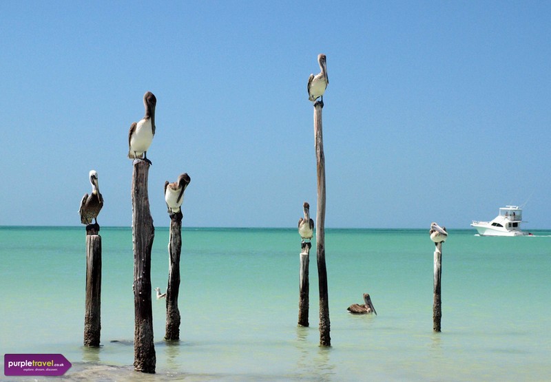 Isla-holbox-cheap-holiday-from-purpletravel 