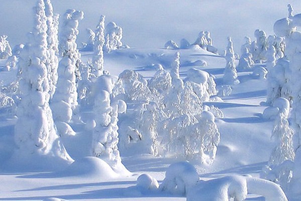 Lapland Cheap holidays with PurpleTravel 