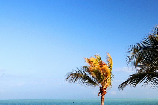 Florida Keys Cheap holidays with PurpleTravel 