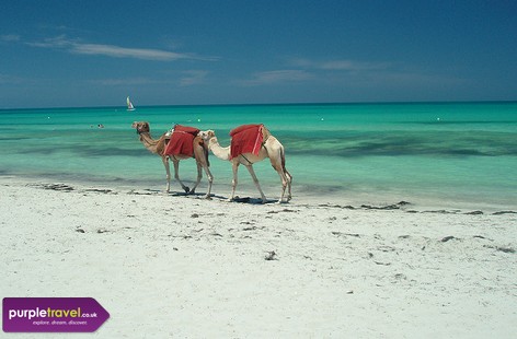 Tunisia Cheap holidays with PurpleTravel 