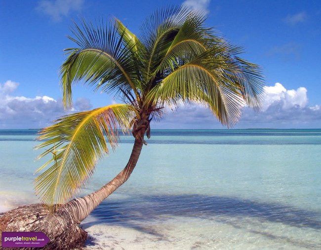 Cuba Tour Operators Canada Cuba Tour Operators Canada