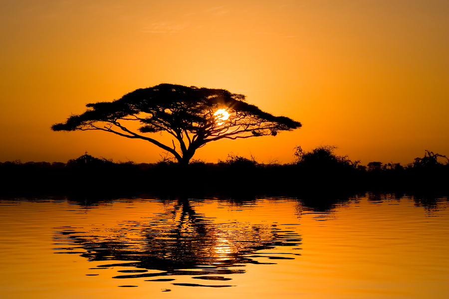 Cheap holidays kenya from PurpleTravel 