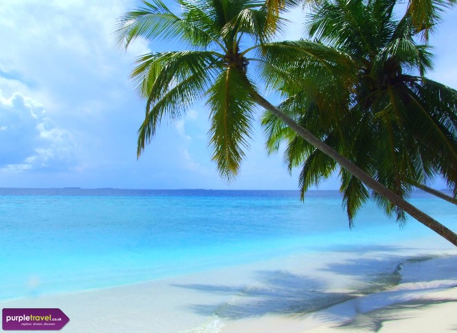 South Male Atoll Cheap holidays with PurpleTravel 