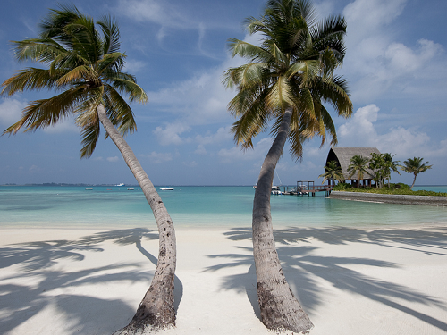 Cheap Addu Atoll Holidays from PurpleTravel 