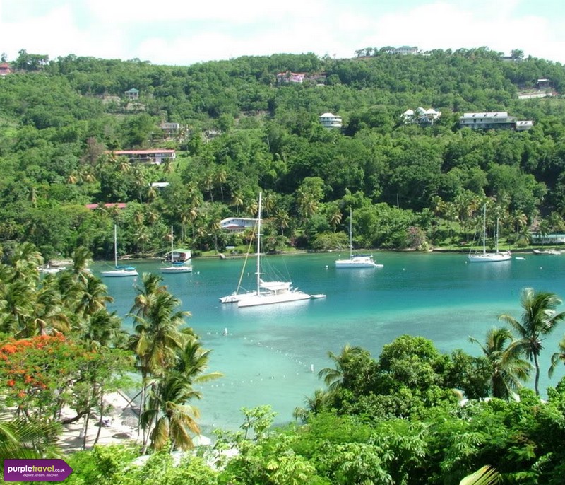 marigot bay cheap holidays from PurpleTravel 