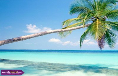 Last minute holidays