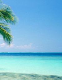 Last minute holidays