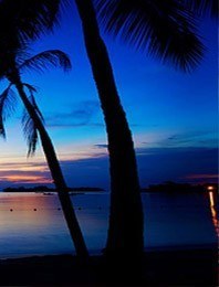 Holidays from Manchester Airport