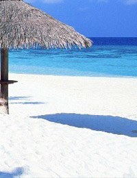 Tropical Christmas Holidays