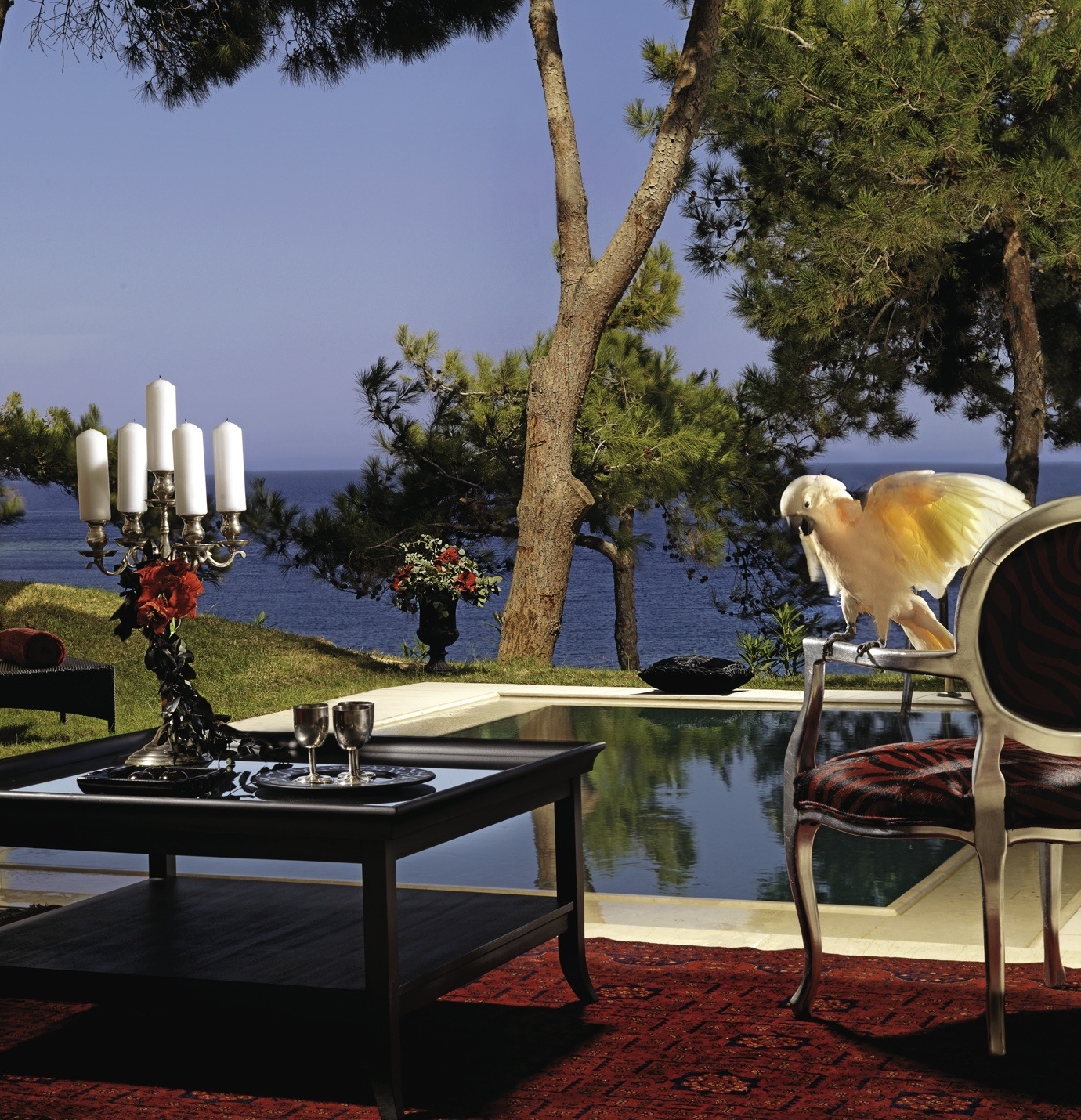 Outdoor Seating Area