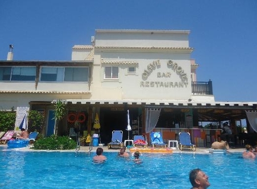 Olive Grove pool and bar